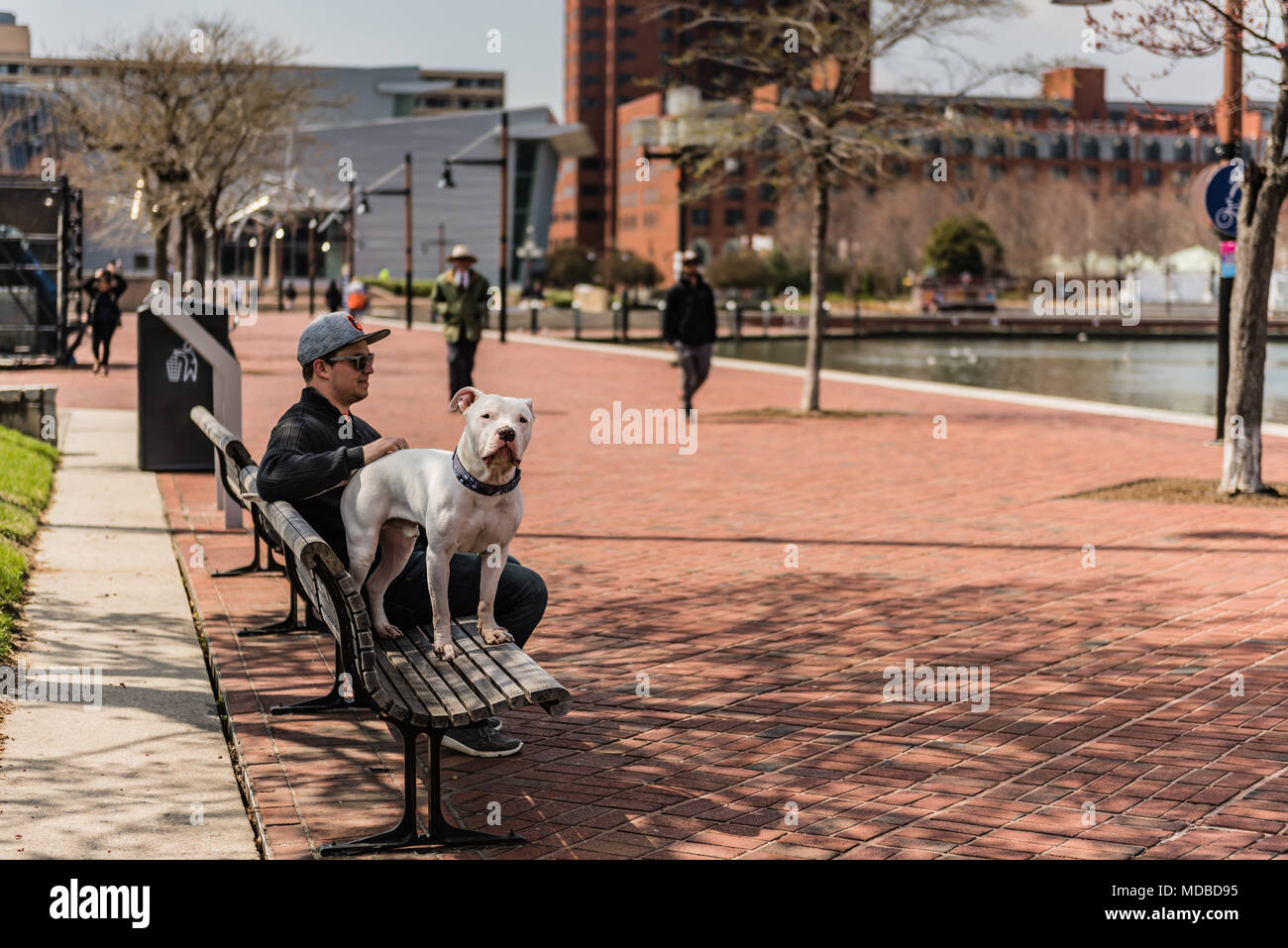 Baltimore Maryland Usa Young Man Sits On Park Bench With