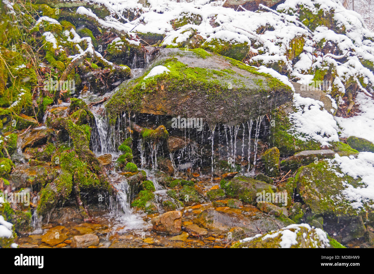 Small Mountain Creek in the Smoky Mountains During a Spring Snowstorm Stock Photo
