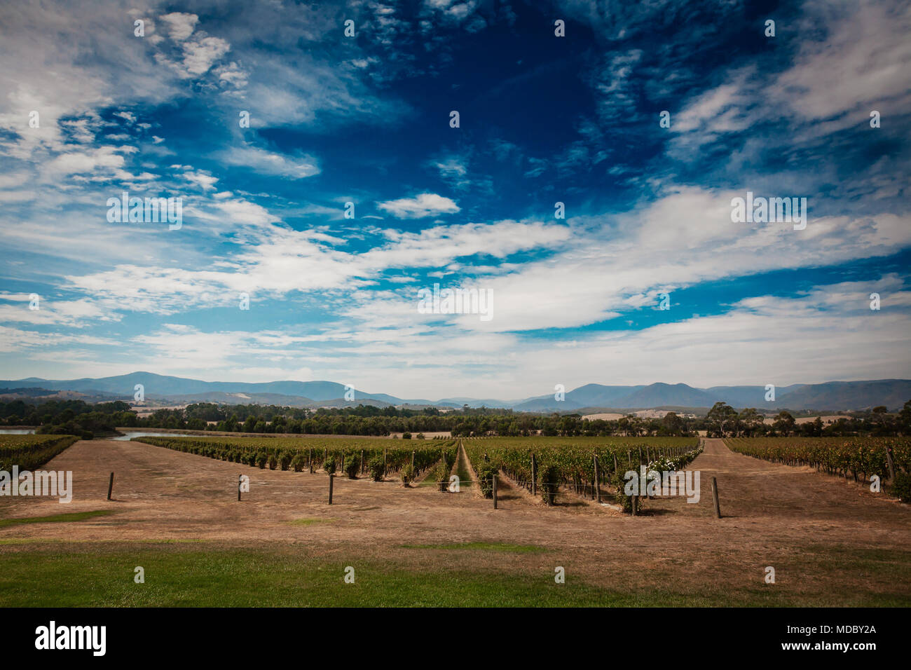 Yarra valley cheese hires stock photography and images Alamy