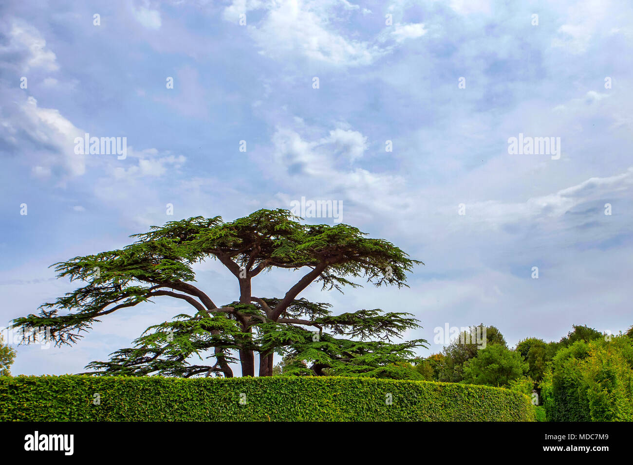 Amboise castle sunset hi-res stock photography and images - Alamy