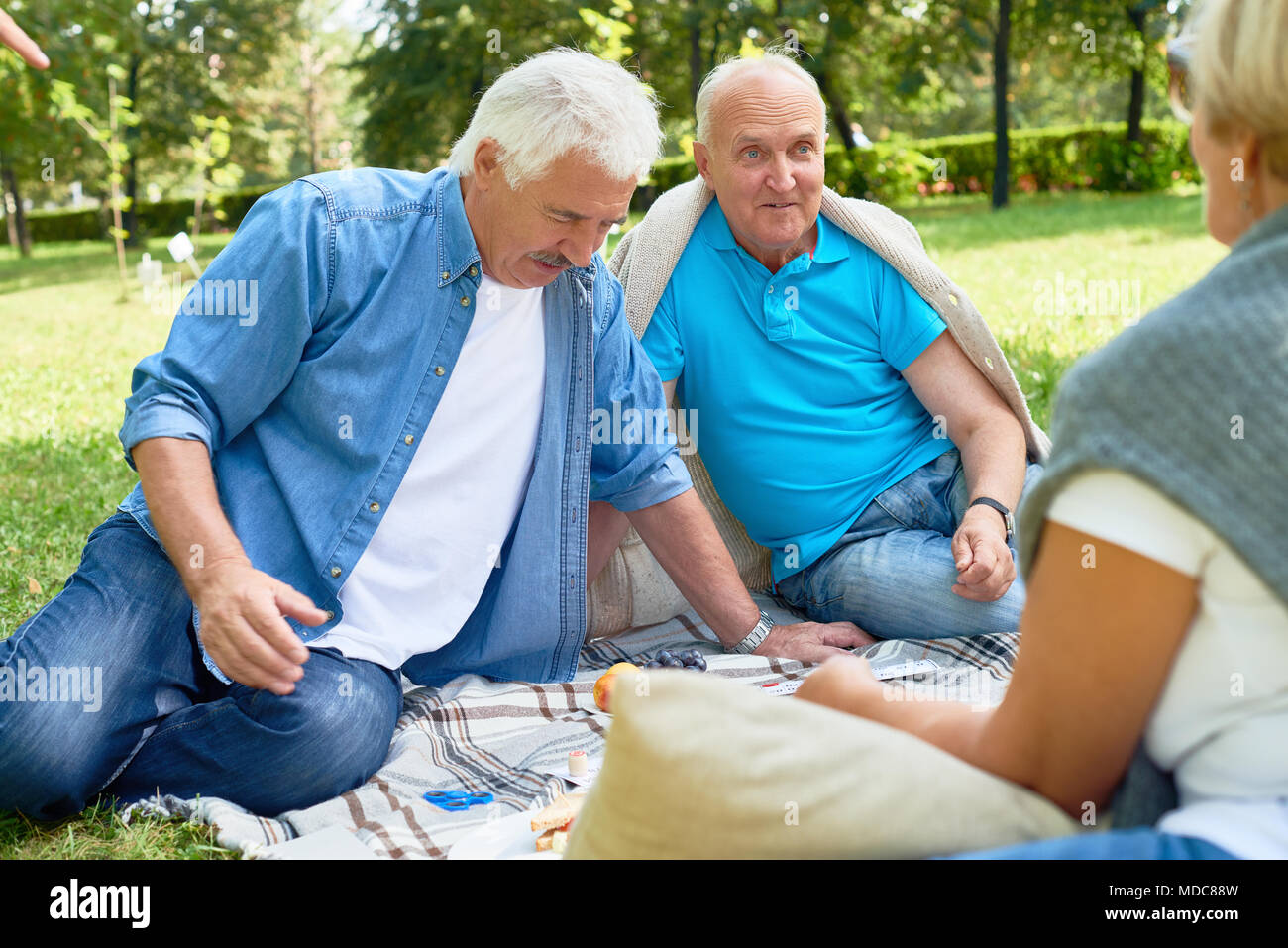 Group of Seniors Enjoying Picnic in Park Stock Photo