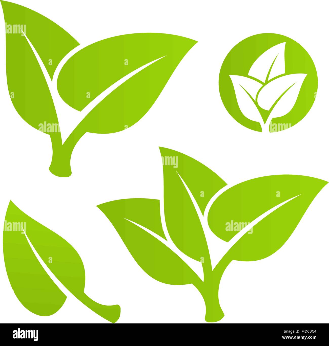 Green leaf set Stock Vector Image & Art - Alamy