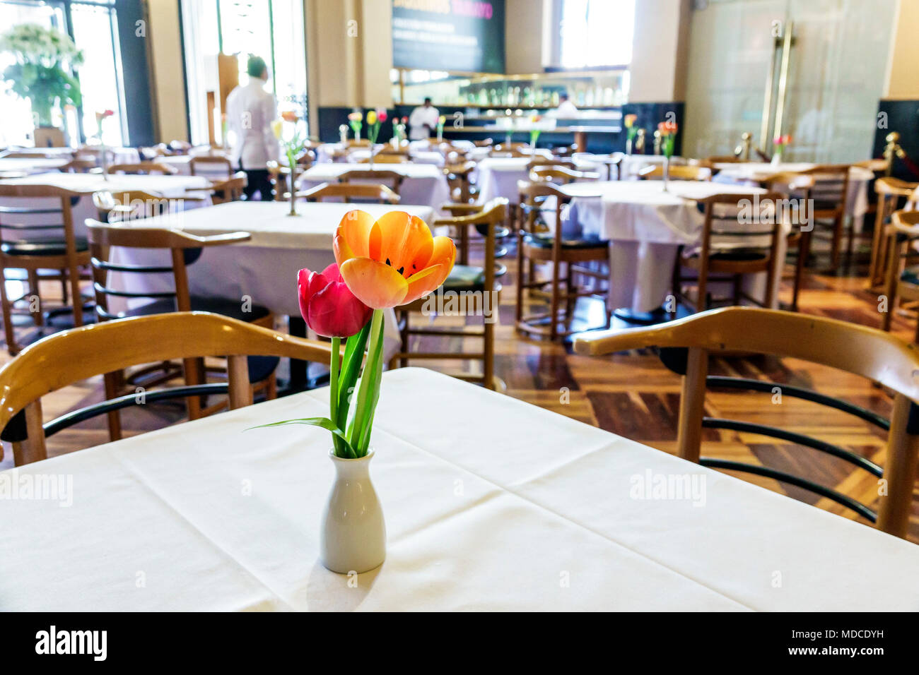 Mexico City,Mexican,Hispanic,historic Center Centre,Palacio de Bellas