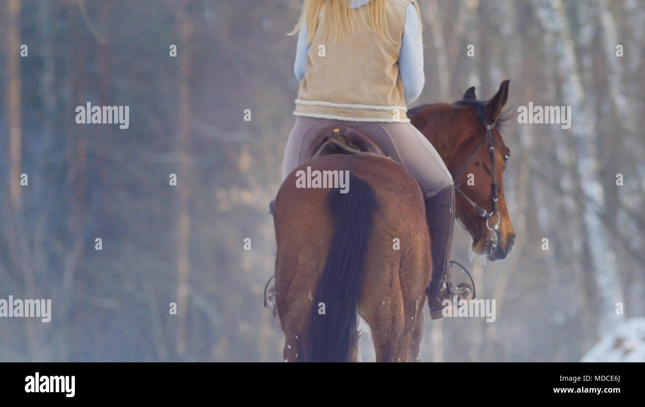 Female rider riding black horse through the snow, rear view Stock Photo ...