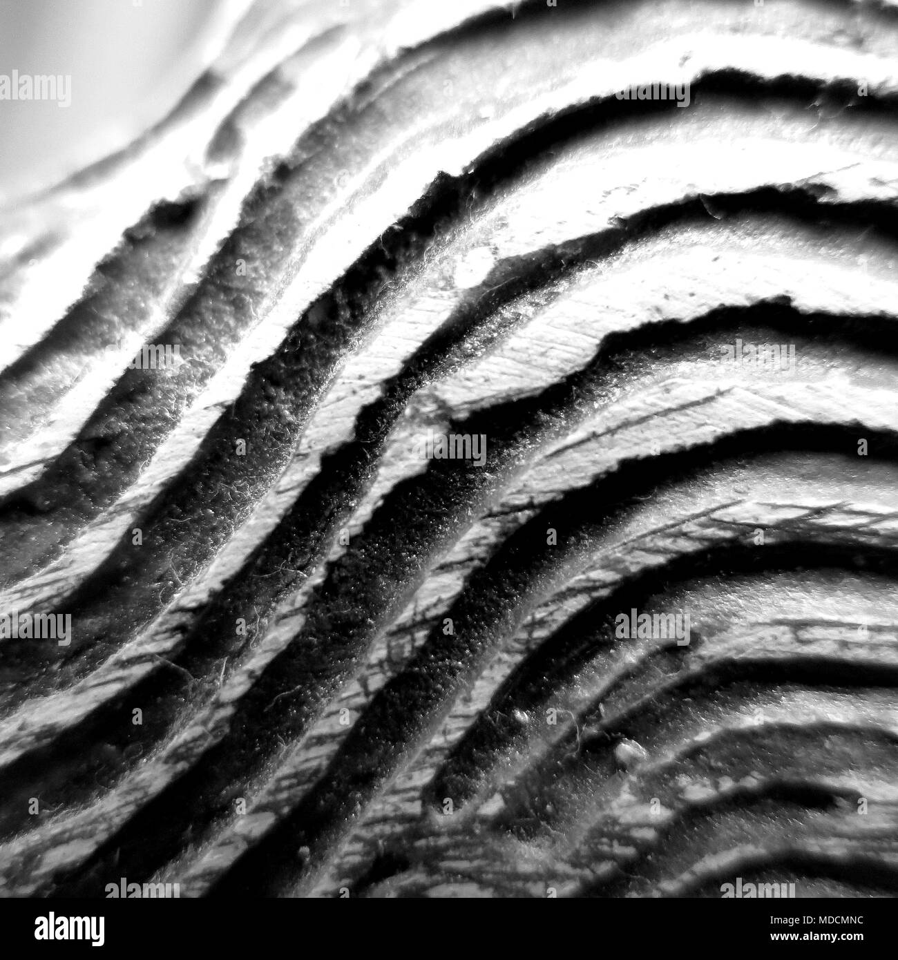 Detail, curves on decorative statuette. Concept : texture in macro photography. Stock Photo