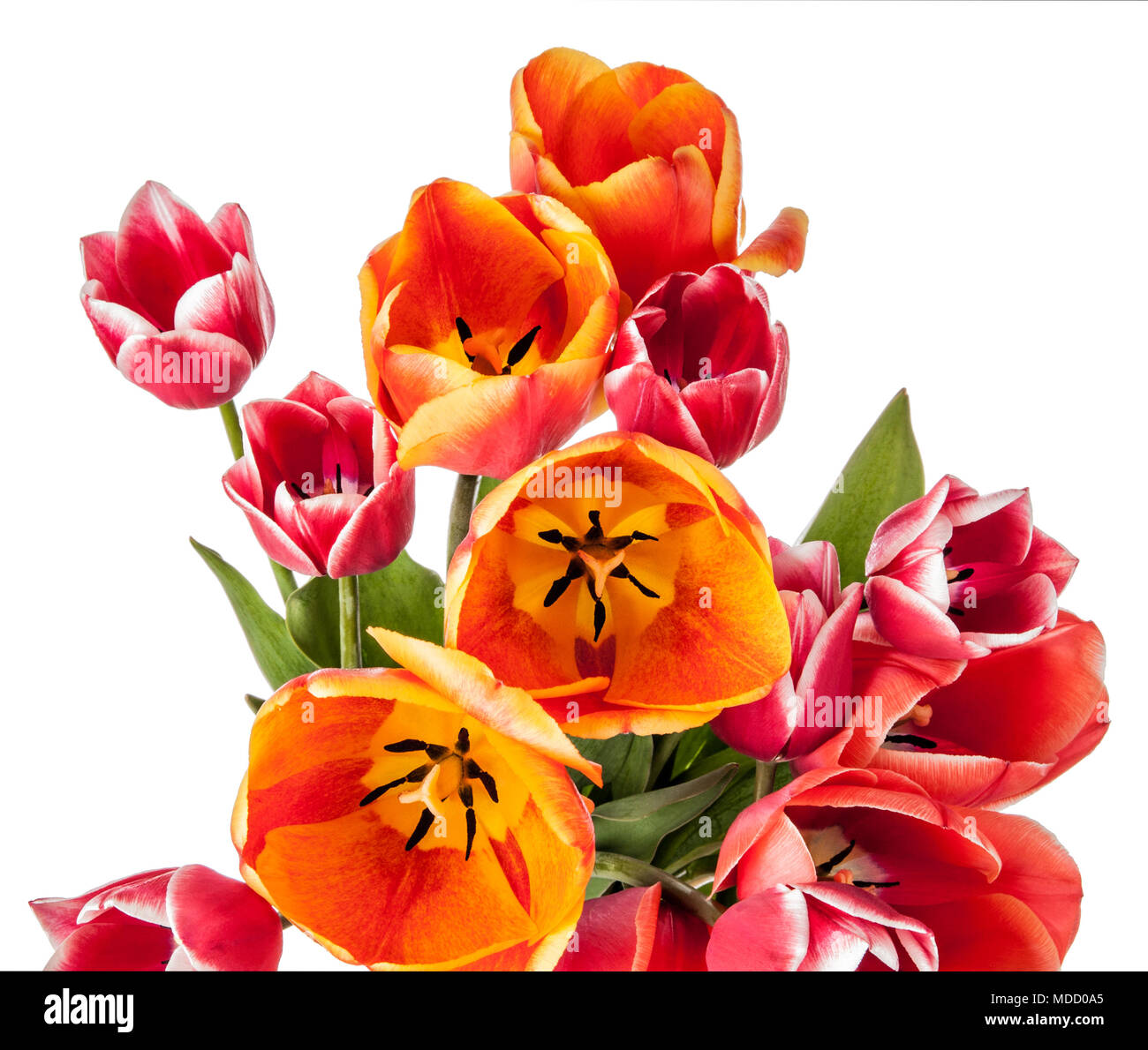 Flowers bouquet isolated on white background Stock Photo - Alamy