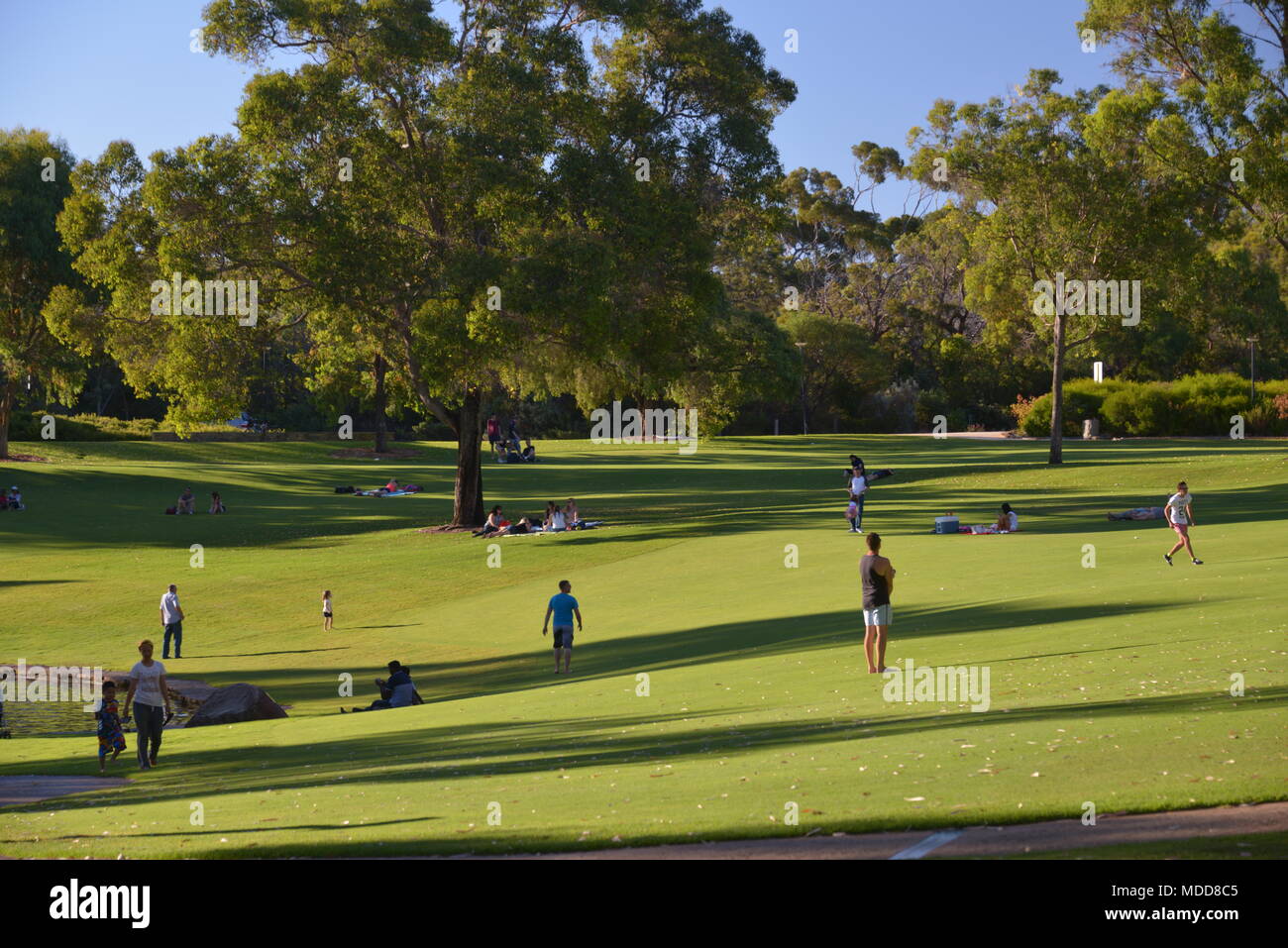 kings park and botanic garden