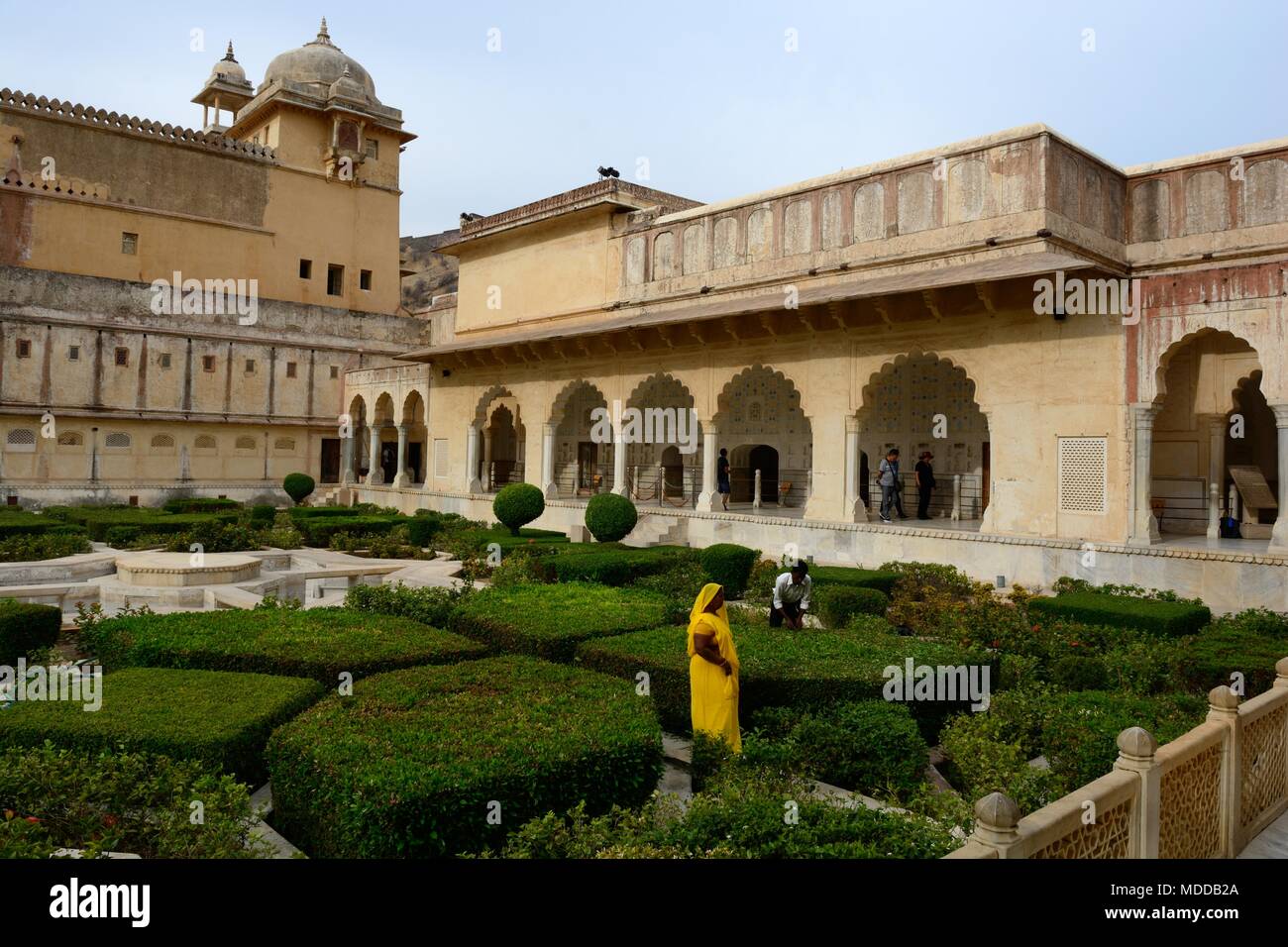 Indian woman wearing a bright yellow sari working in the garden of Amber Amer Fort Jaipur Rajashan India Stock Photo