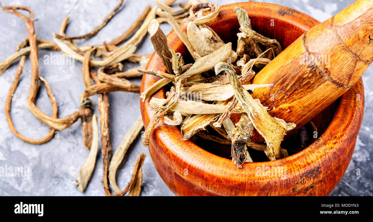 Medicinal raw materials from roots and rhizomes inula.Root elecampane ...