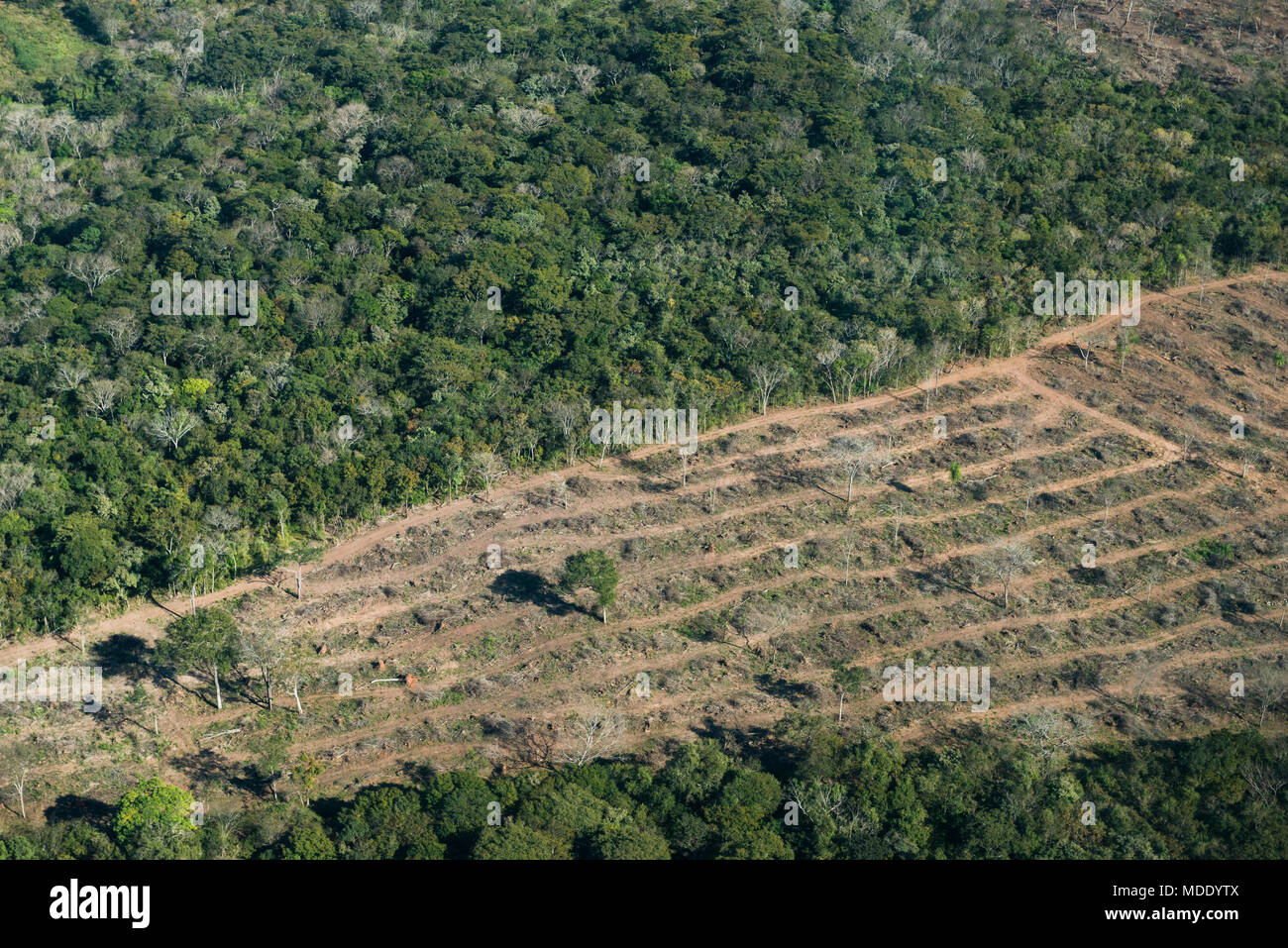 Deforestation in the state of Mato Grosso do Sul, Brazil Stock Photo
