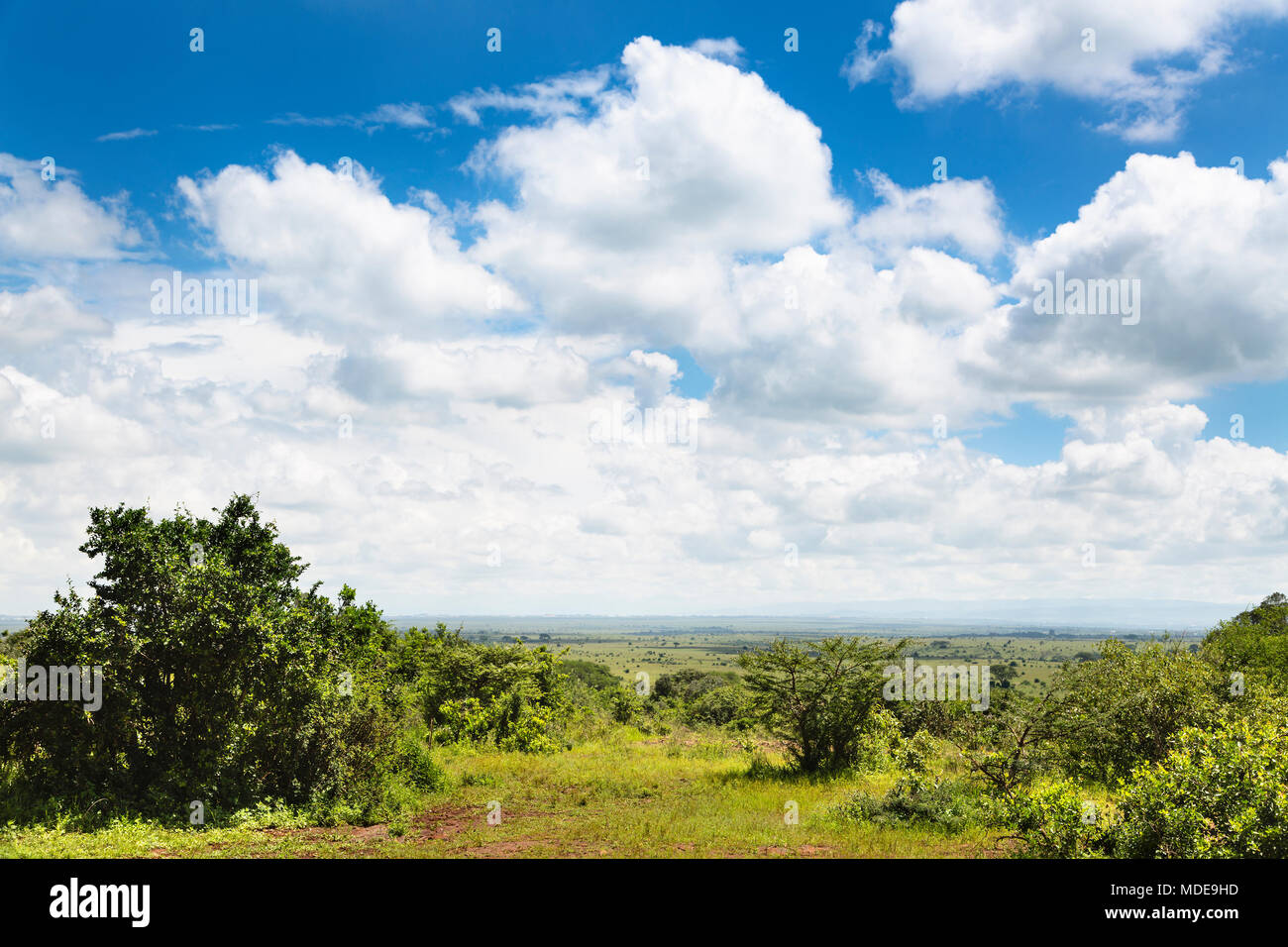 View over Nairobi National Park landscape, Kenya. Stock Photo