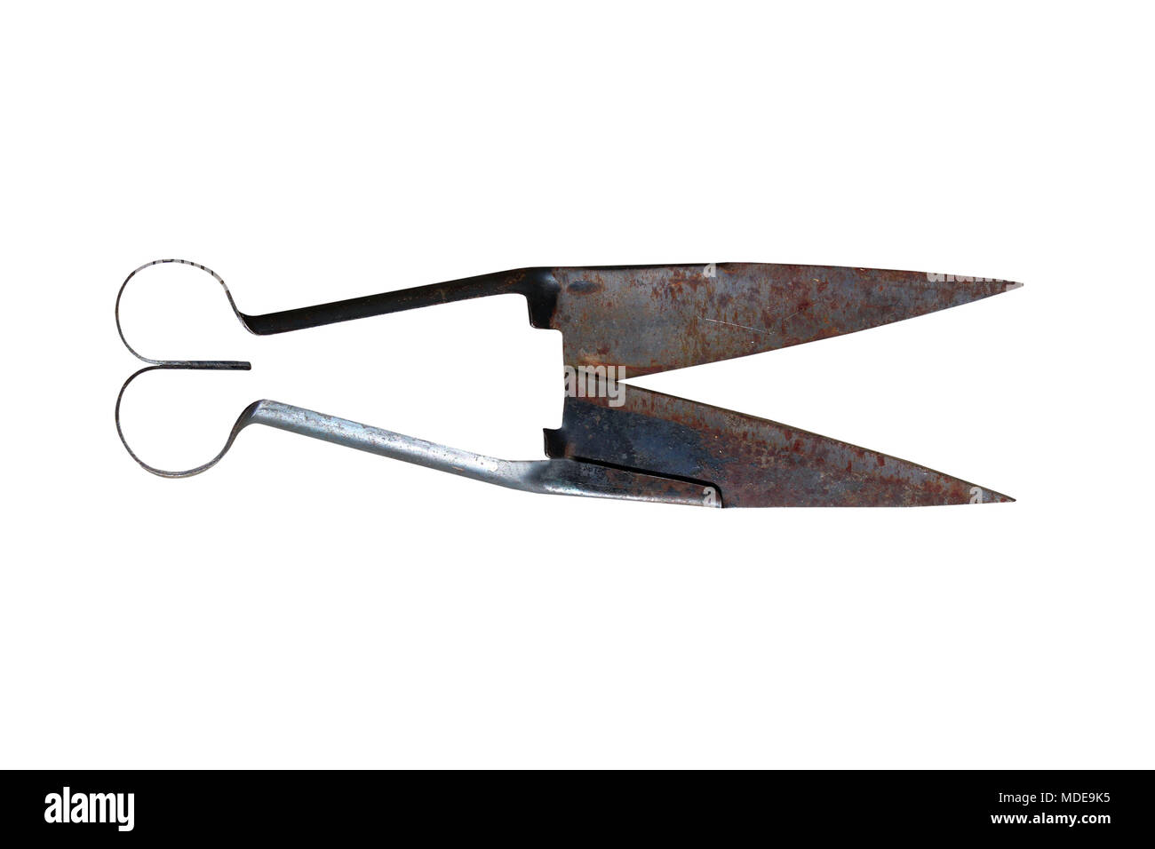 Rusty Old Fashioned Sheep Shears Held In Hand Stock Photo