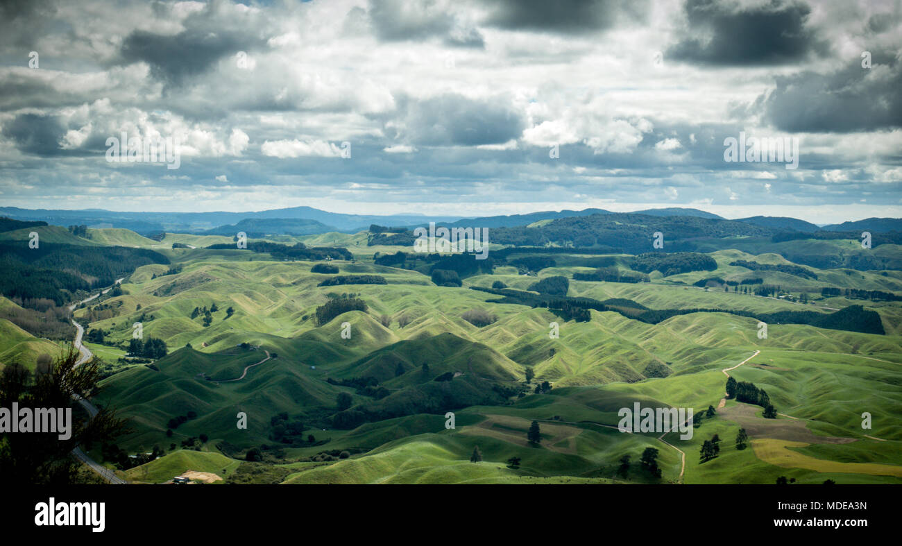 Green rolling hills panorama with cloudy sky shot from top of the Rainbow Mountain located in Waikato region of New Zealand. Stock Photo