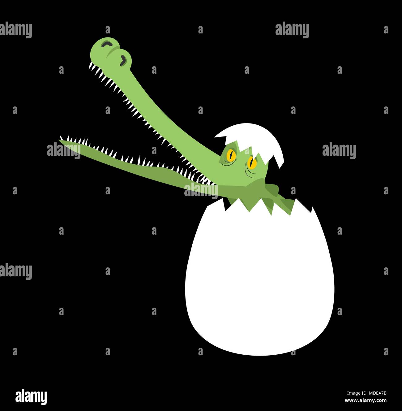 Hatched crocodile from egg isolated. Vector illustration Stock Vector