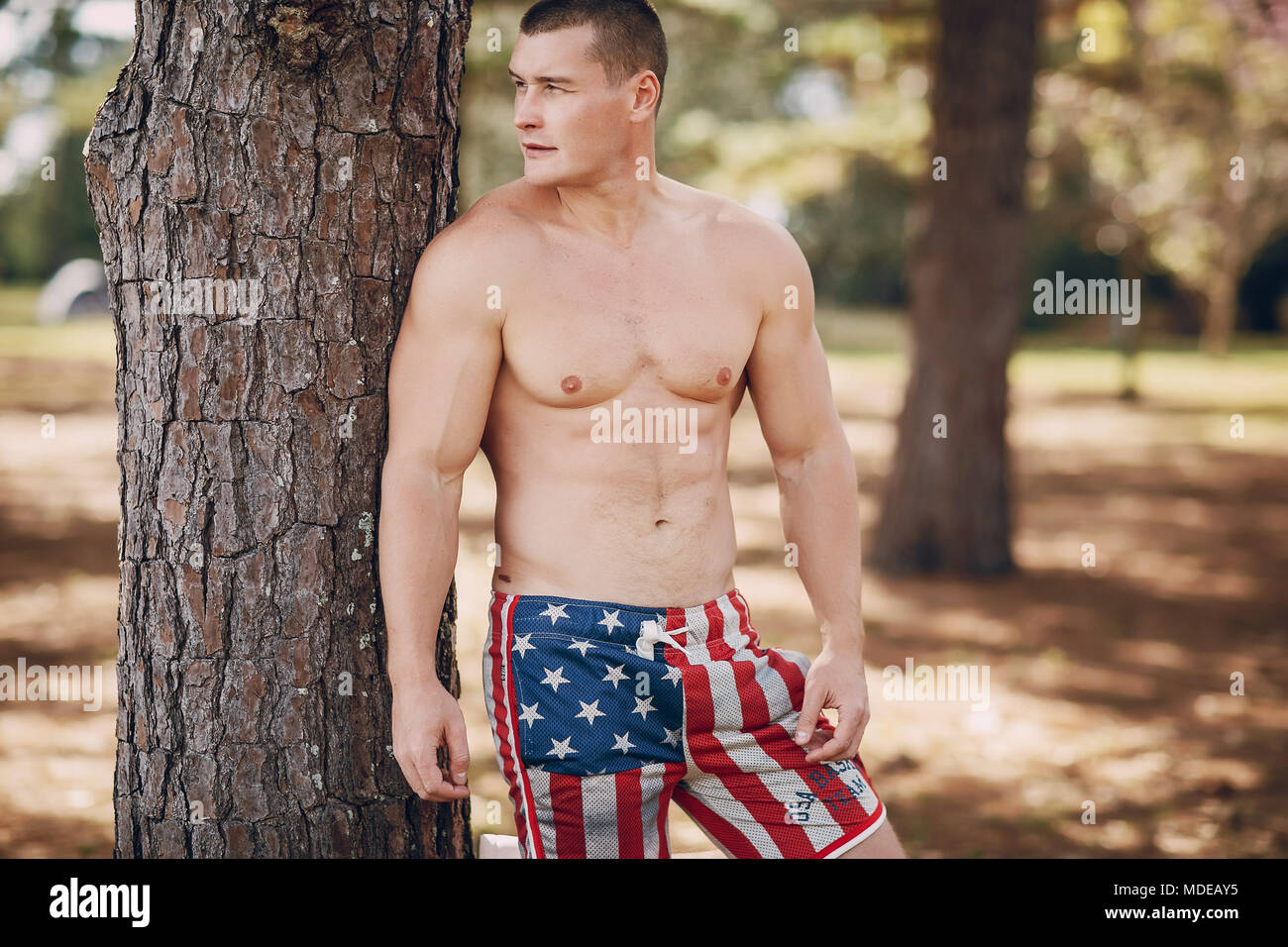 Handsome pumped up man training hi-res stock photography and images - Alamy