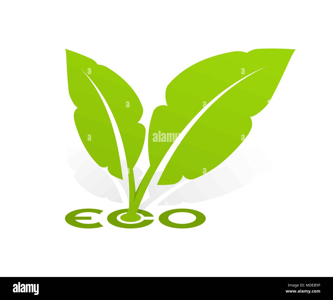 Logo Eco with green leafs  Stock Vector