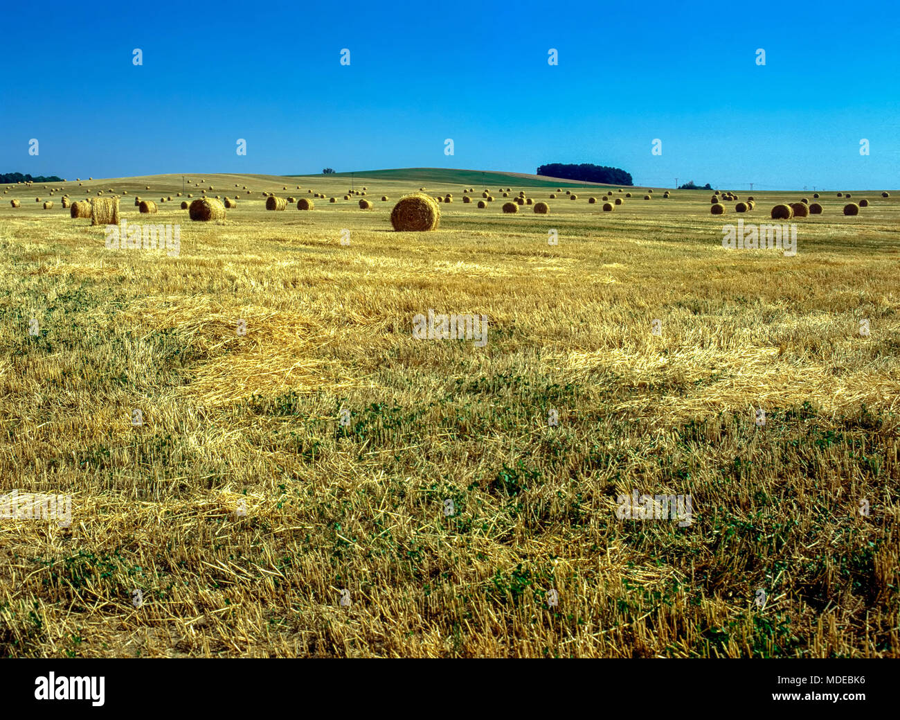 Straw bales in field after harvest, Czech Republic Stock Photo - Alamy