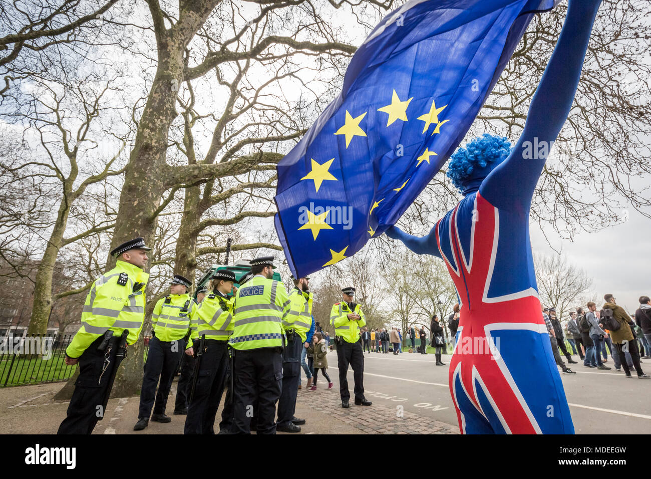 Pro-EU protester waving flag of Europe wearing British flag bodysuit demonstrates at Speaker's Corner, Hyde Park in London. Stock Photo