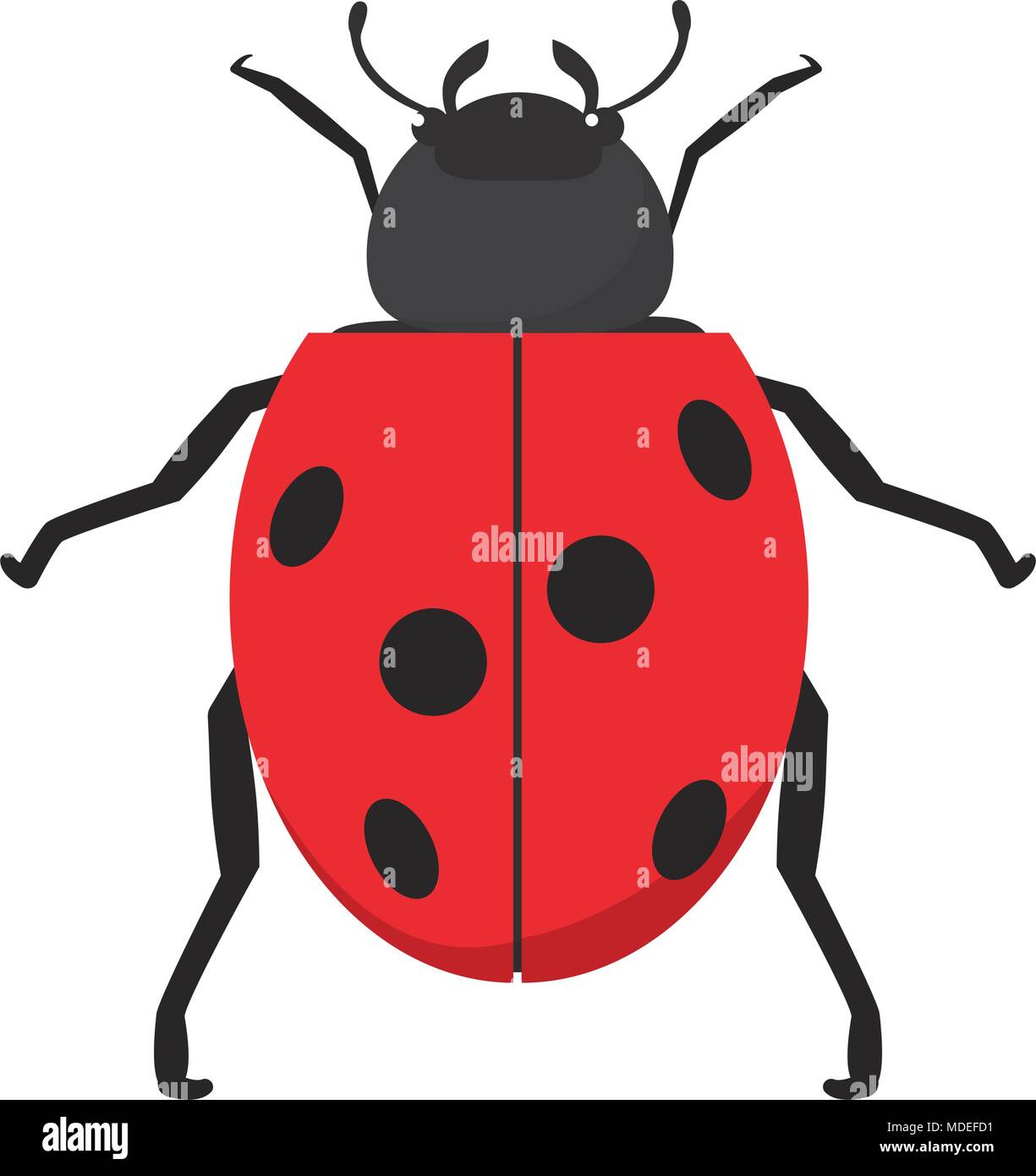 nature ladybug insect animal of spring Stock Vector Image & Art - Alamy