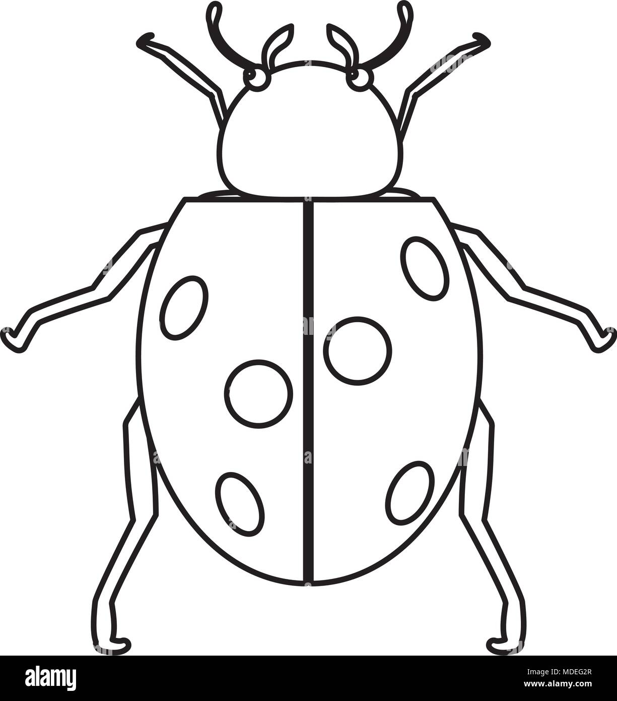 line nature ladybug insect animal of spring Stock Vector Image & Art ...