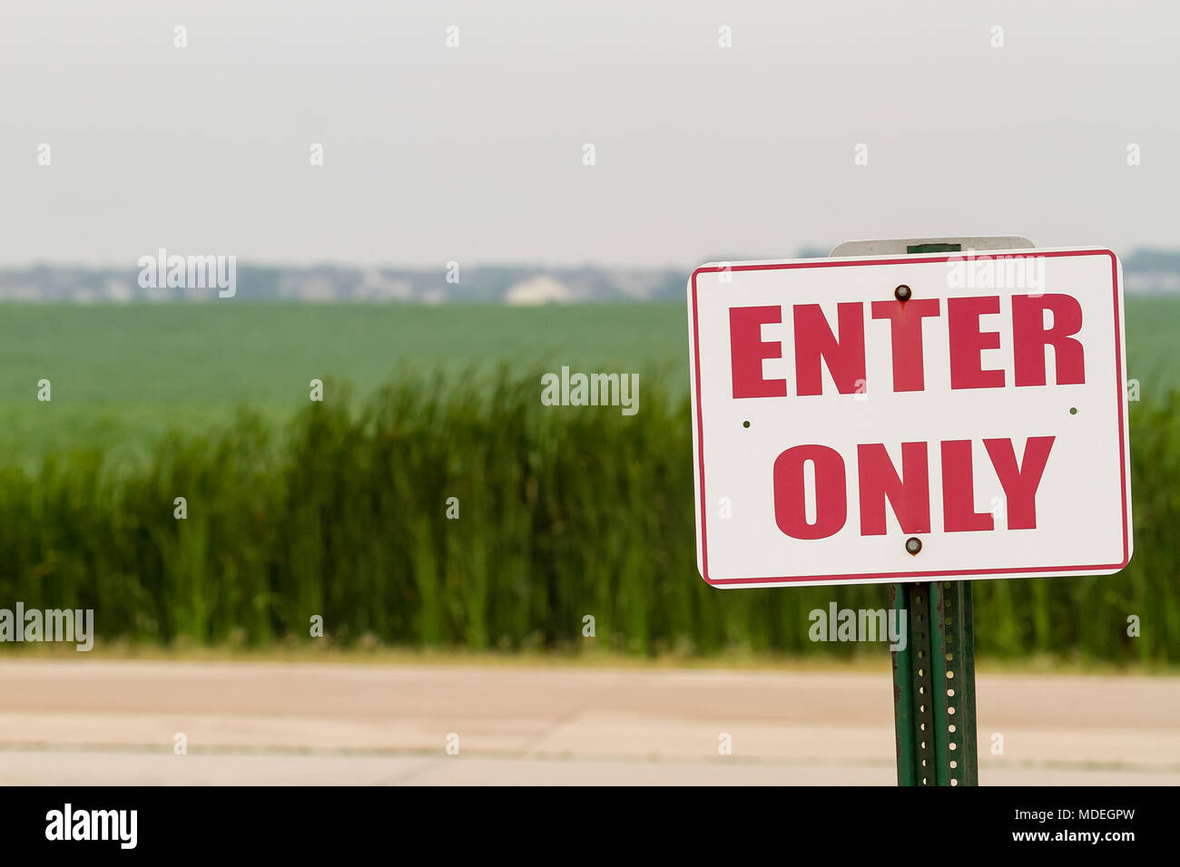 Summer humidity farm land and a sign Stock Photo