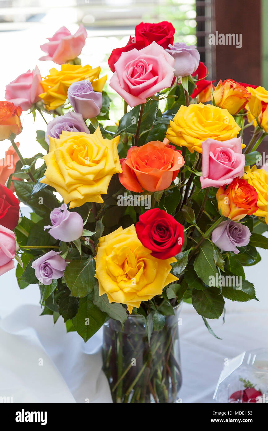 bouquet of multi colored of retirement roses Stock Photo
