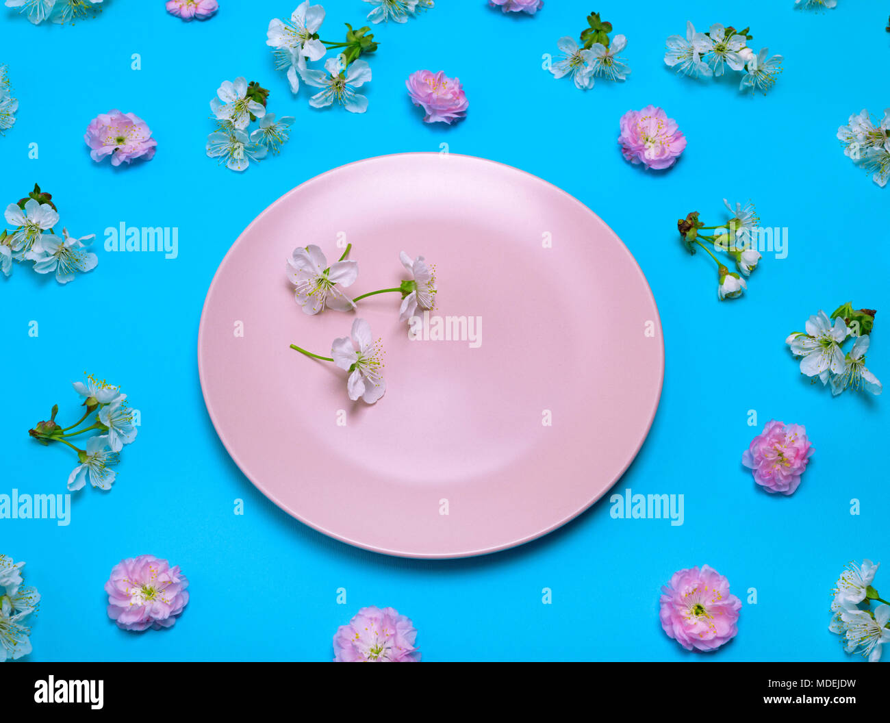 empty round ceramic pink plate on a blue background in the midst of ...