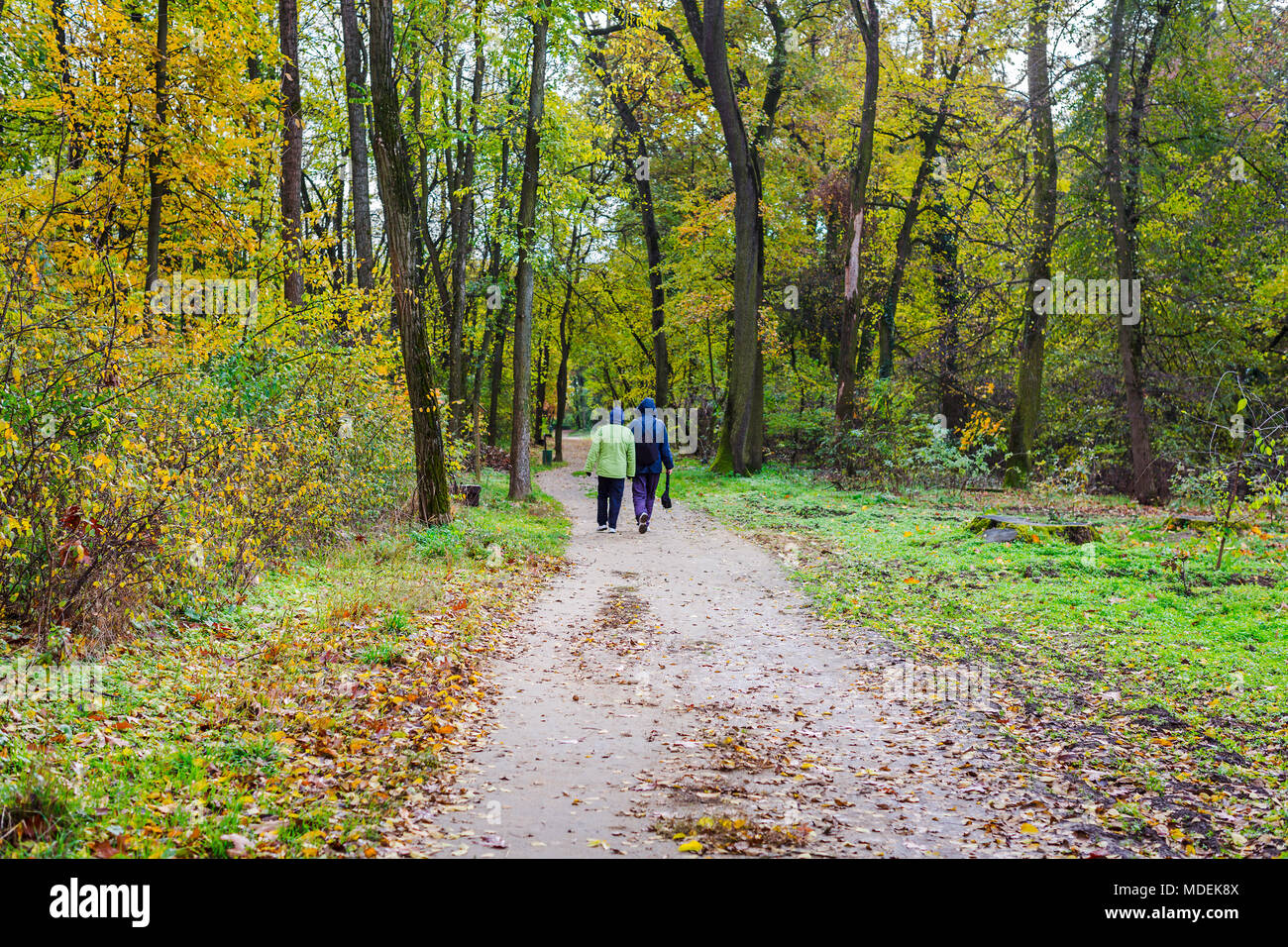 Older couple walking forest hi-res stock photography and images - Alamy
