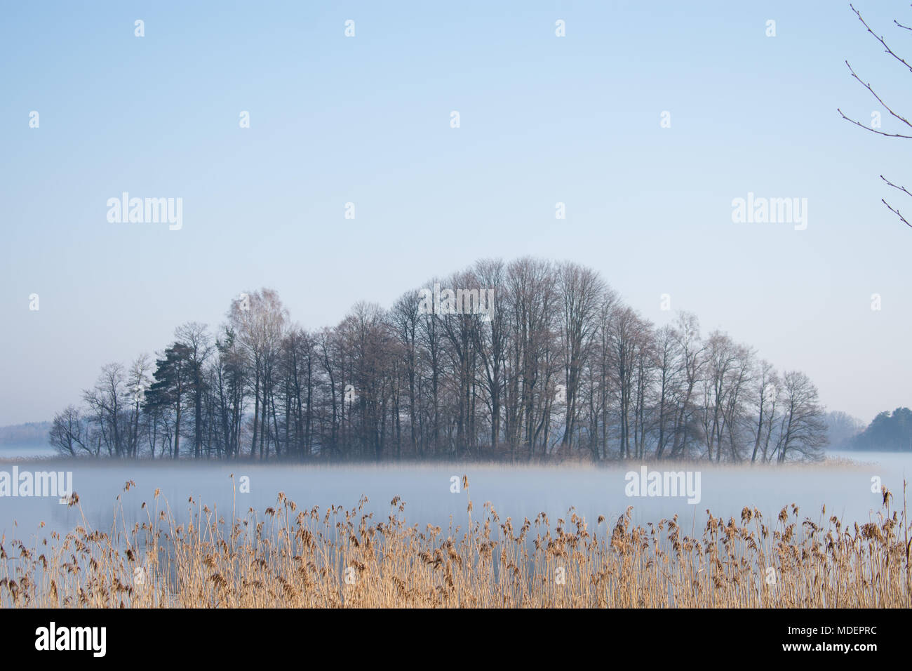 Fog surrounding a lake island full of trees Stock Photo