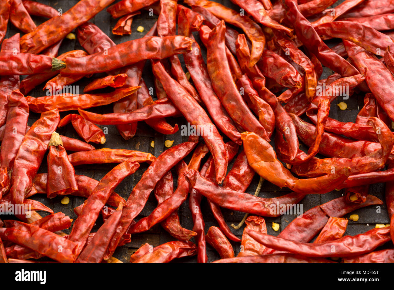 Sun-dried chilli peppers in threshing basket. Stock Photo