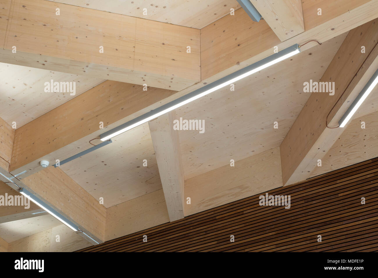 Detail of CLT roof,. Stephen Perse Foundation Learning and Sports building,  Cambridge, United Kingdom. Architect: Chadwick Dryer Clarke Architects, 20  Stock Photo - Alamy