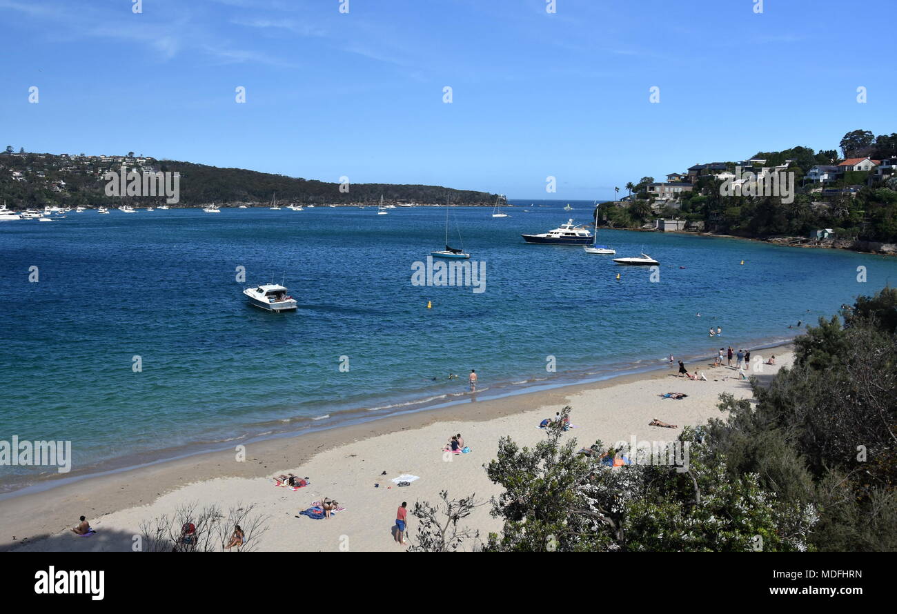 Chinamans beach with palm trees. Entrance of Sydney Harbour with North Head and South Head in the background. Stock Photo
