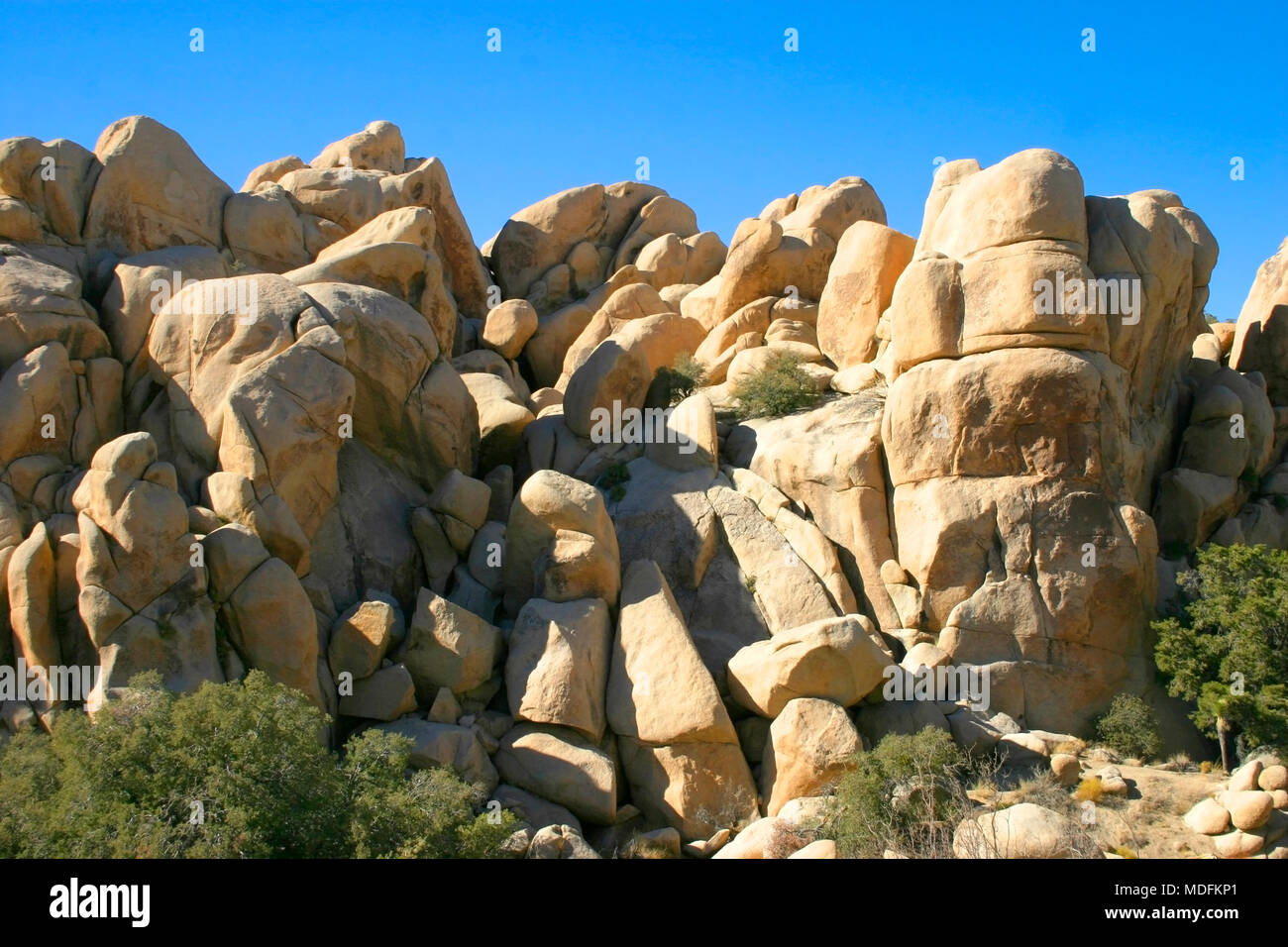 Amazing nature of the Joshua Tree National Park which is part of dry Mojave Desert in California. Lots of rocks and cacti Stock Photo