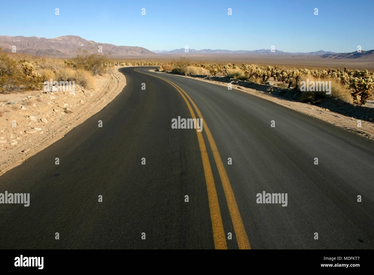 Smooth asphalt road in the desert of Arizona Stock Photo