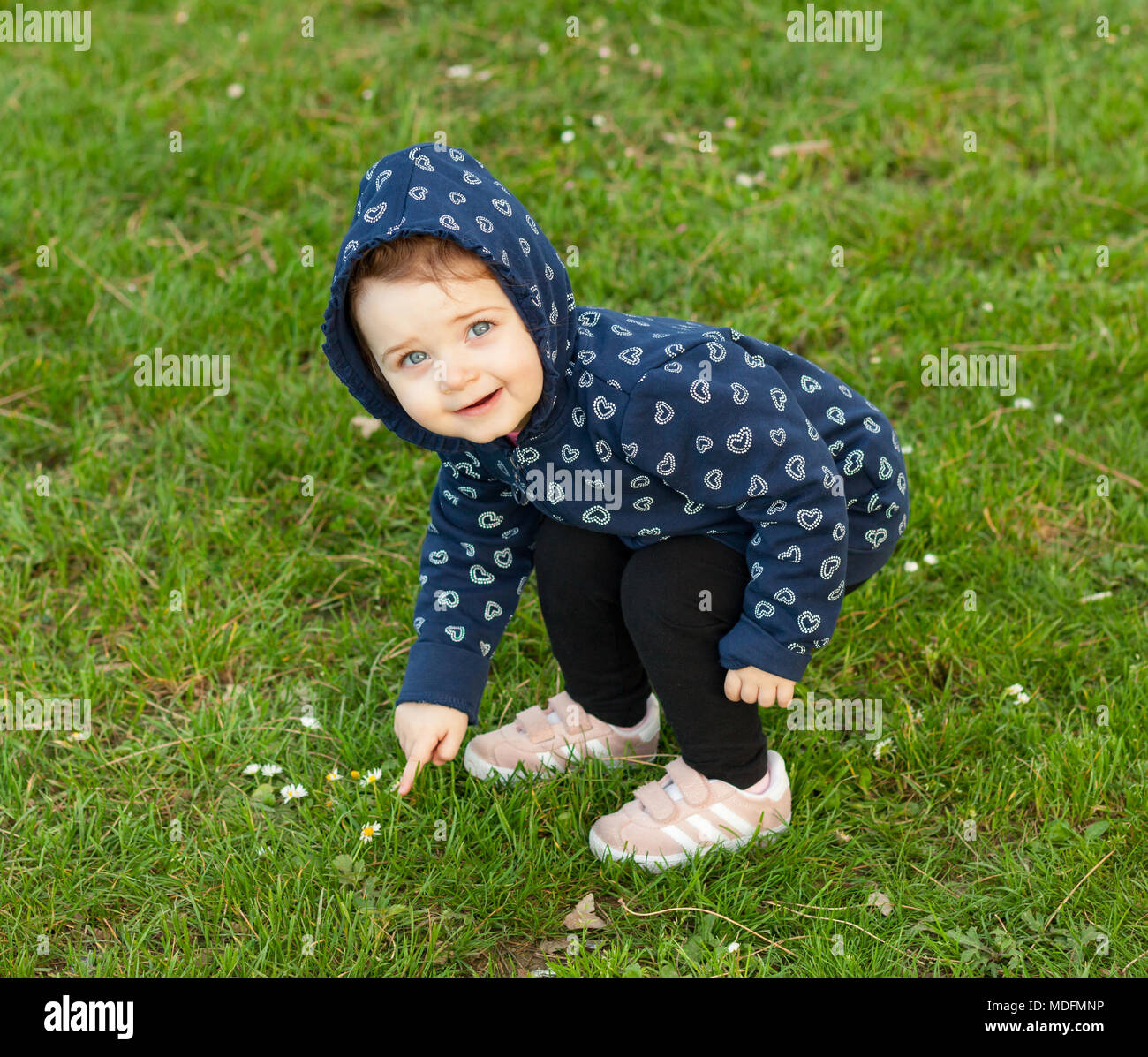 Little baby girl plays happy in the park outdoors in spring and collects daisies. Stock Photo