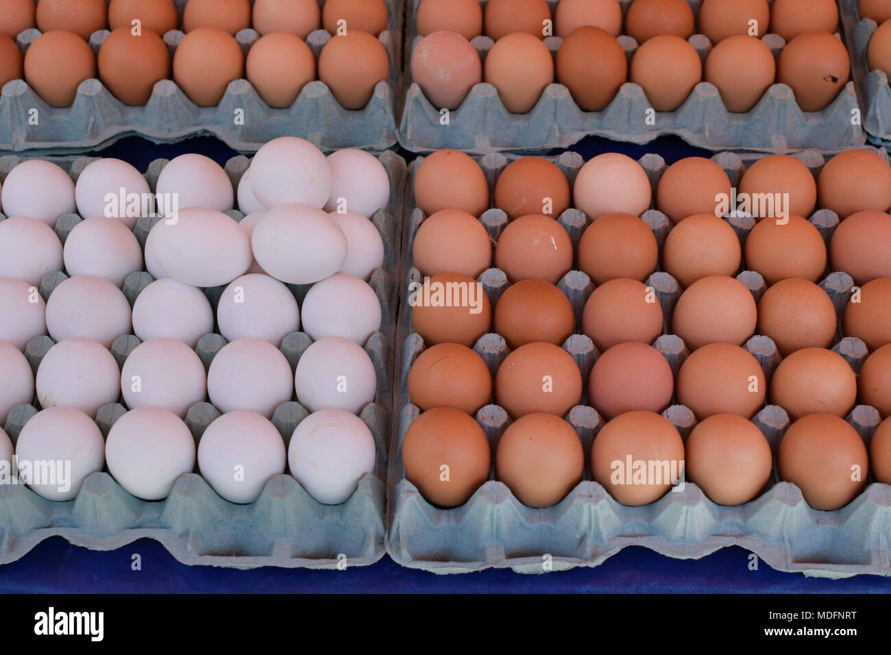 Fresh brown and white chicken eggs in carton egg box trays Stock Photo ...