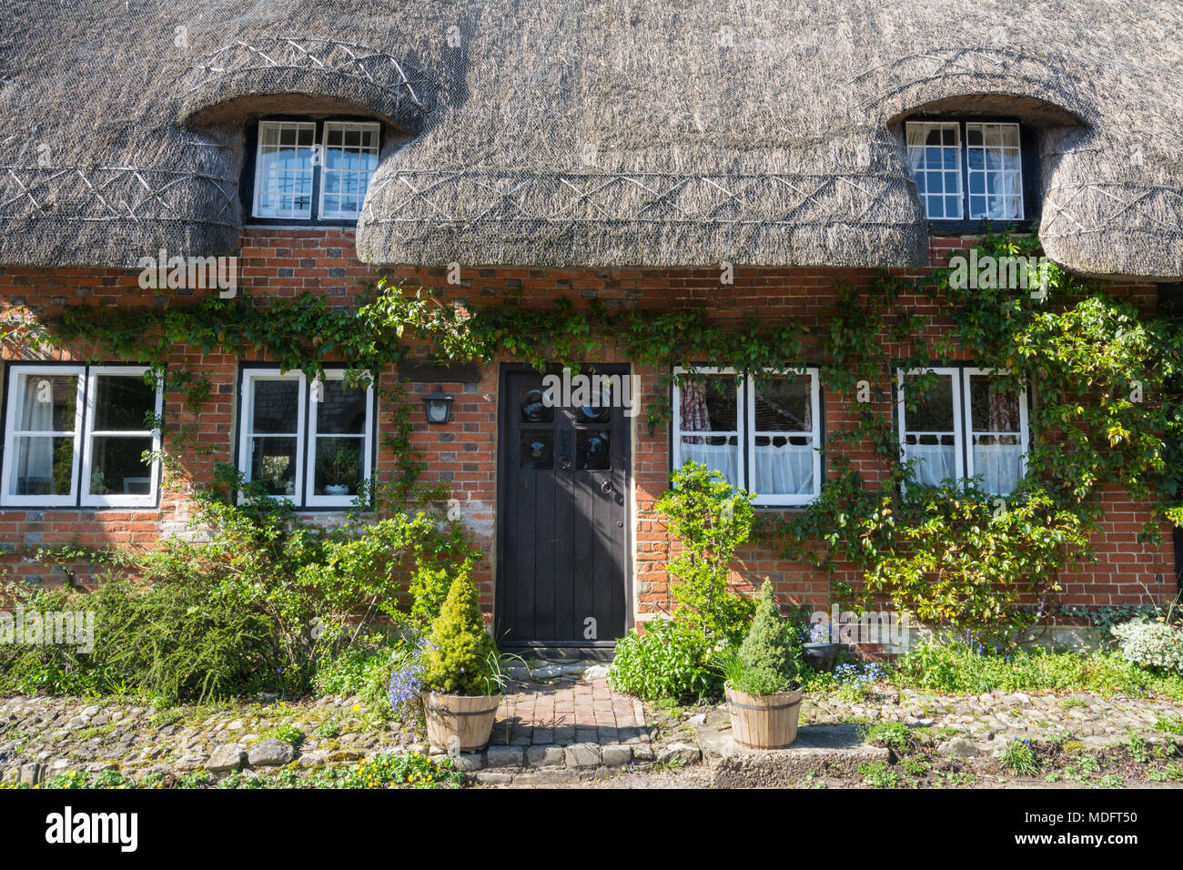 Charming thatched cottage in the Hampshire village of Selborne