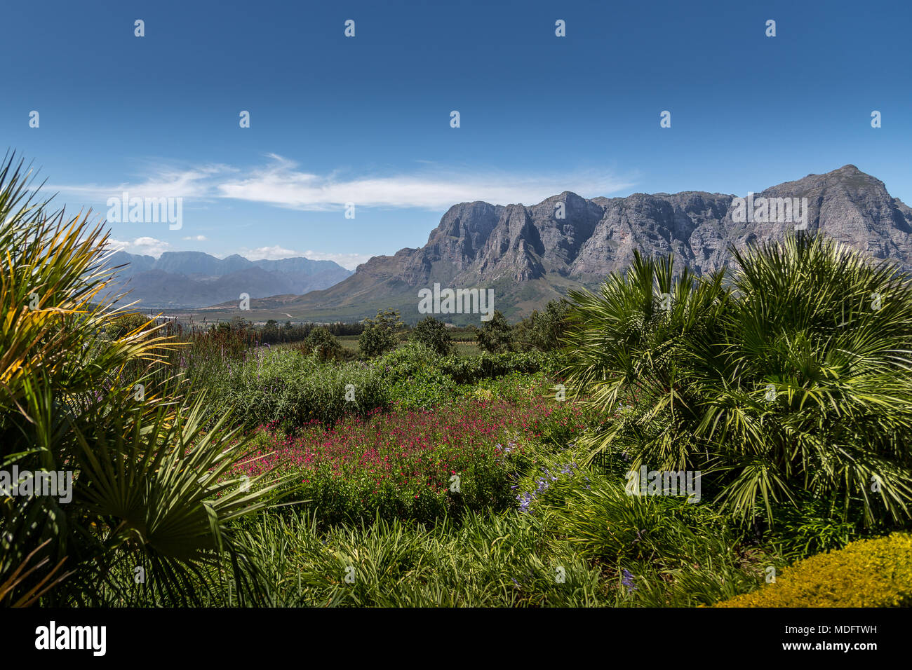 Mountain landscape, Stellenbosch, Western Cape, South Africa Stock Photo