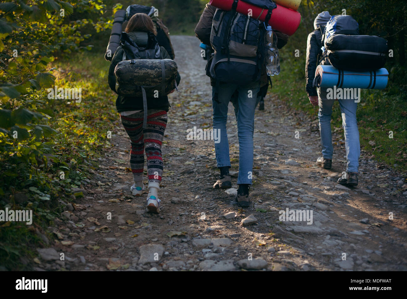 Three people walking along footpath in the forest, Ukraine Stock Photo