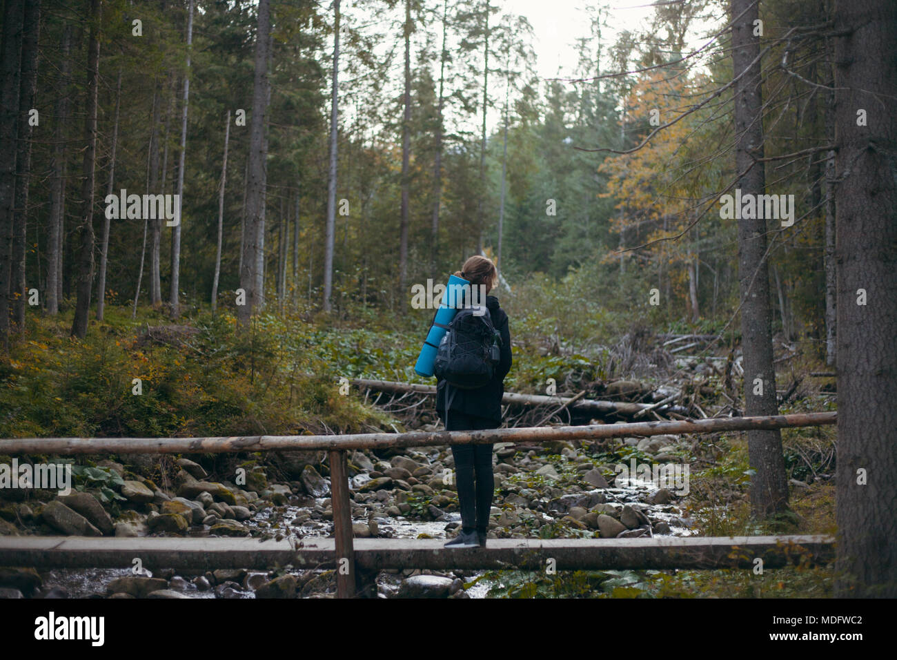 Woman standing on a bridge in the forest, Ukraine Stock Photo