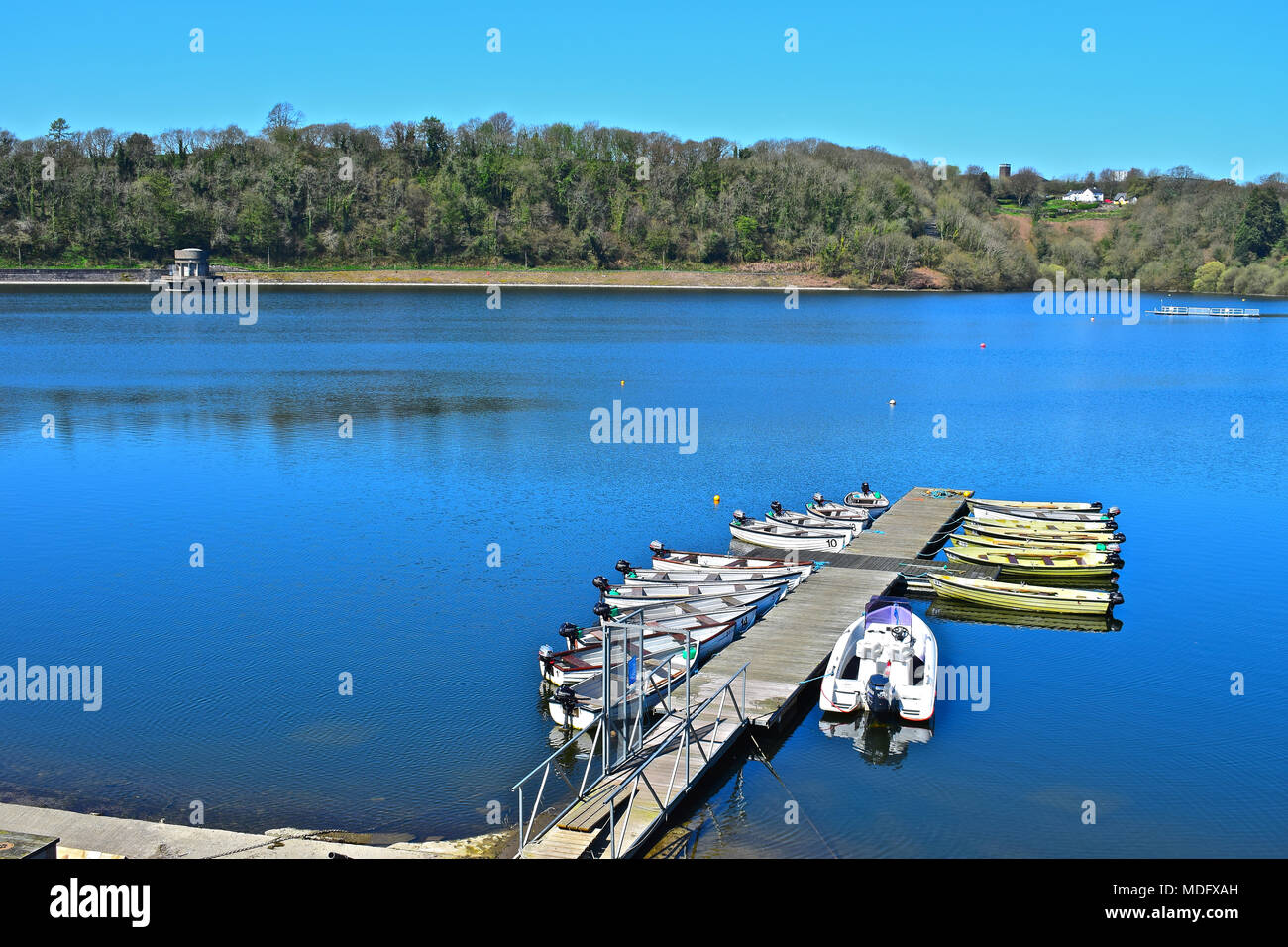 A pretty scene of hire boats at moorings against jetty at Llandegfedd