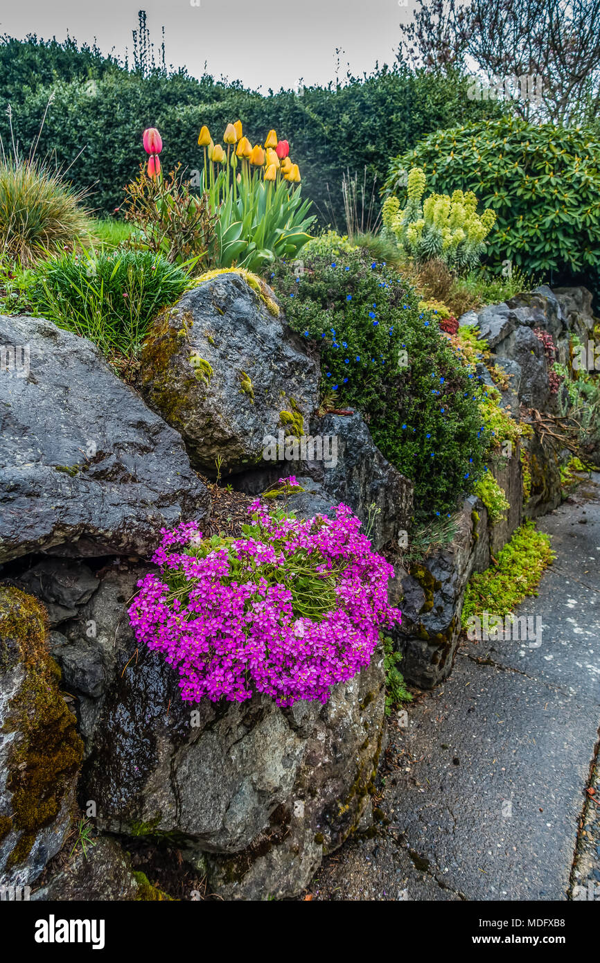 Plants Growing In Rocks Plants That Grow In Rock Walls