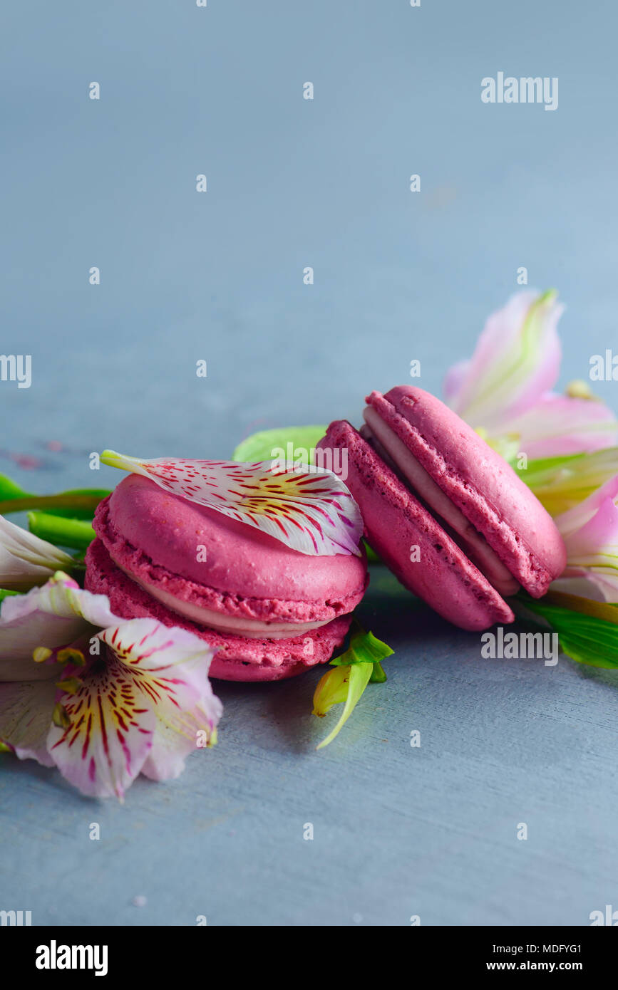 Pink macaroons decorated with pink and white alstroemeria flowers. Romantic French dessert on stone background with copy space. Stock Photo