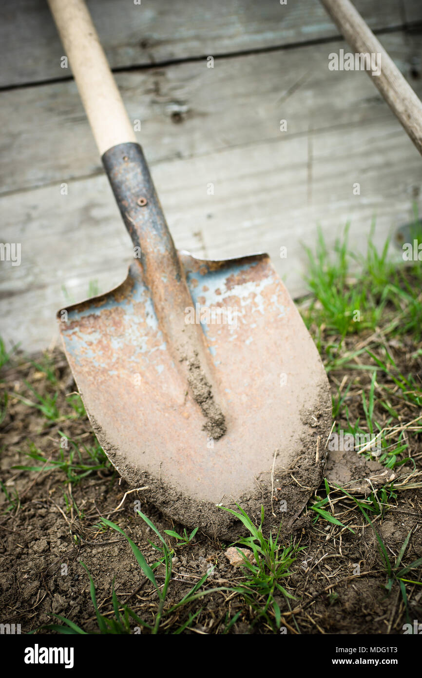 rusty shovel in fresh soil Stock Photo Alamy