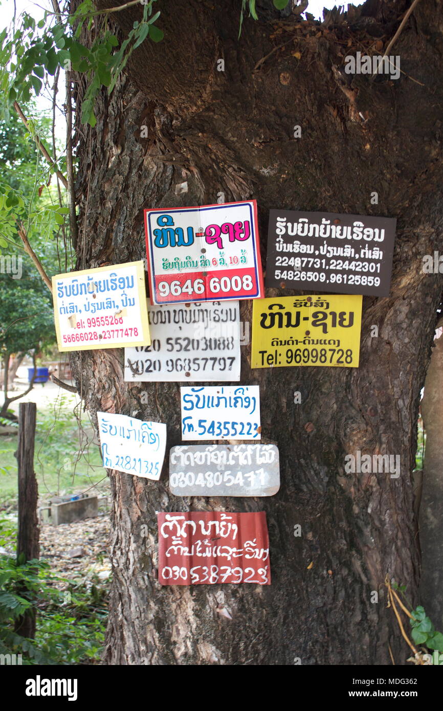 Gearhumans 3D House Rules Siamese Cat Doormat, image size:866x1390