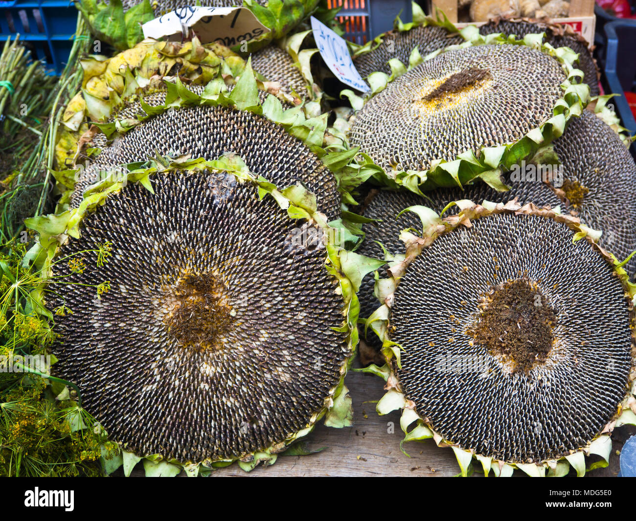 Sunflower farmers market hi-res stock photography and images - Alamy