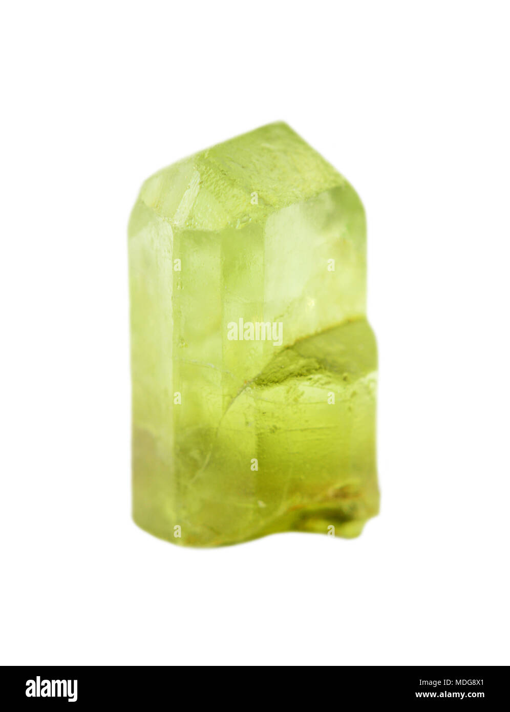 Gemstone chrysolite. Collection specimen of a green peridot mineral isolated on a white background Stock Photo