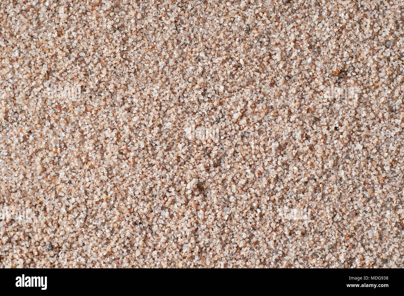 Golden sand background. Closeup with gritty texture Stock Photo