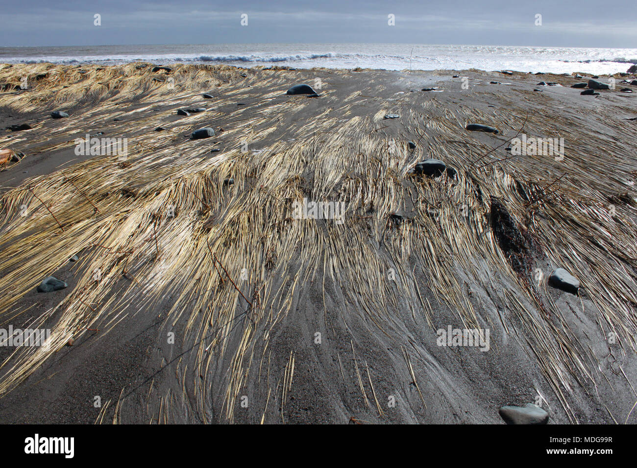 Sand washed over the barrier at Long Beach, Lower East Chezzetcook, Nova Scotia, Canada. Stock Photo