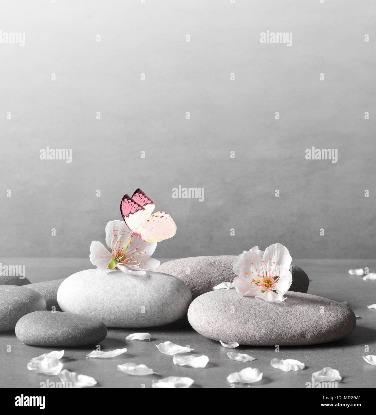 Beautiful flower and stone zen spa on grey background Stock Photo - Alamy, image size:1261x1390